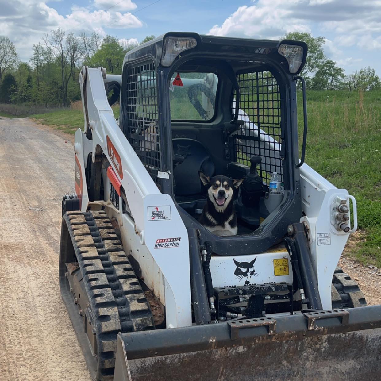A black and white dog sits inside the cab of a parked white skid steer loader on a dirt road, with trees and grass in the background.