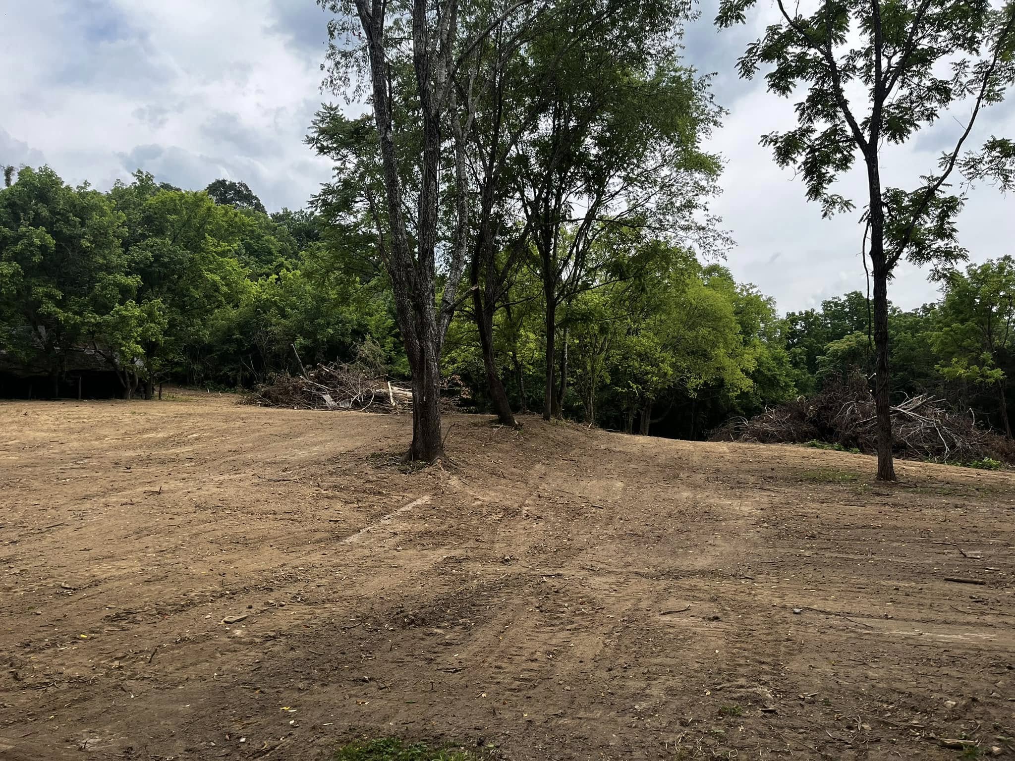 A cleared dirt area with scattered trees, surrounded by green forest; piles of branches and debris are visible in the background under a cloudy sky.