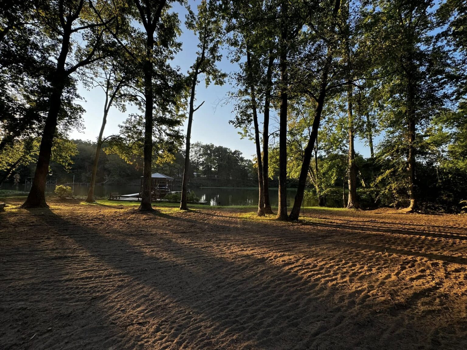 Land Clearing and Brush Removal in Fayetteville TN